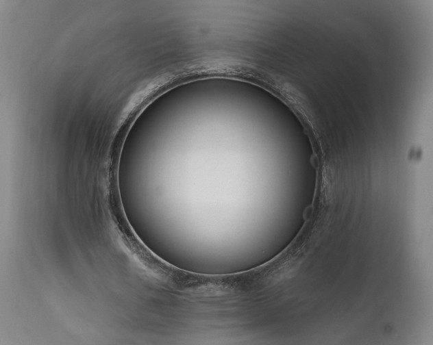 X0000111460578200907131457