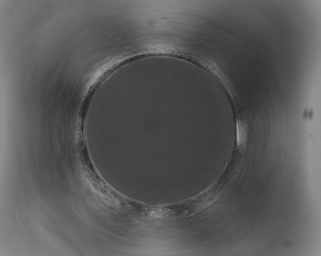 X0000111460579200907131457