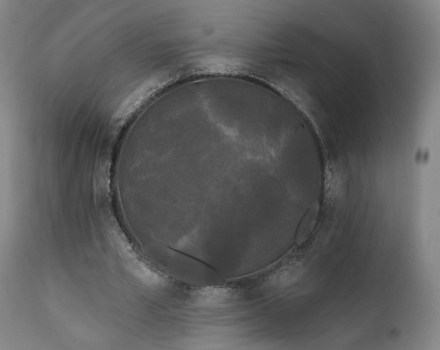 X0000111460581200907131457