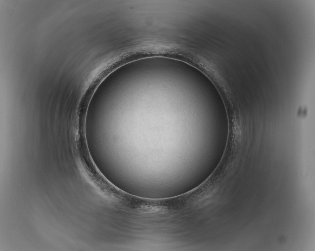 X0000111460582200907131457