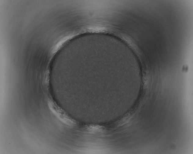 X0000111460583200907131457