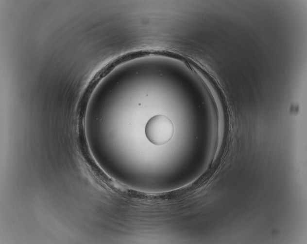 X0000111460584200907131457