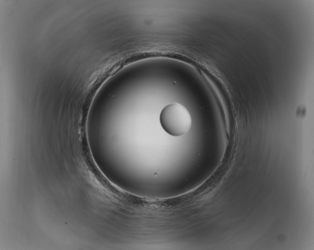 X0000111460585200907131457