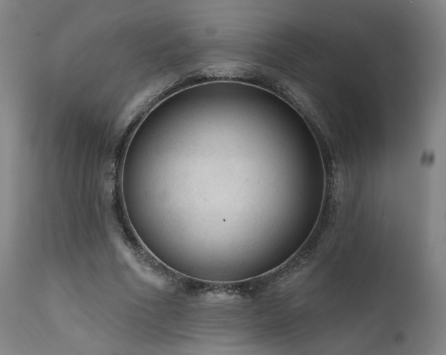 X0000111460586200907131457