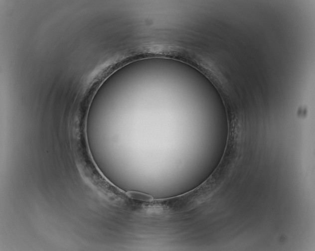 X0000111460587200907131457