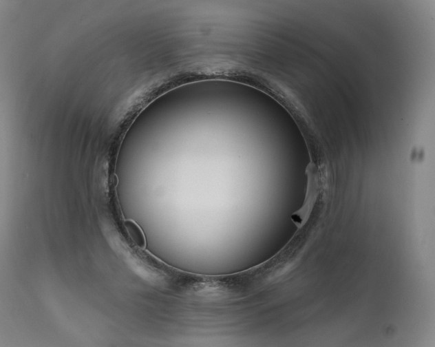 X0000111460589200907131457