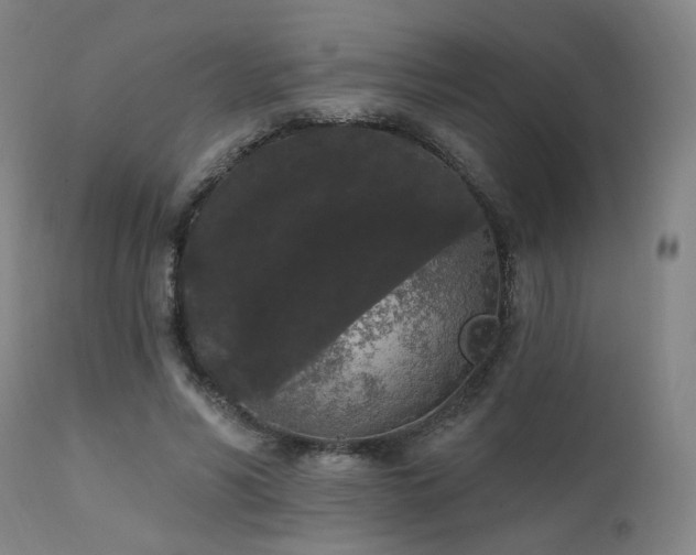 X0000111460590200907131457