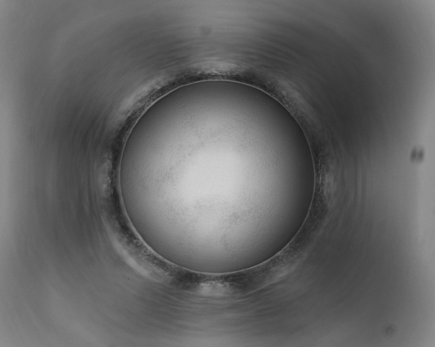 X0000111460591200907131457