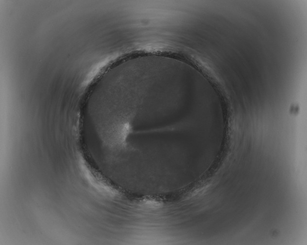 X0000111460592200907131457