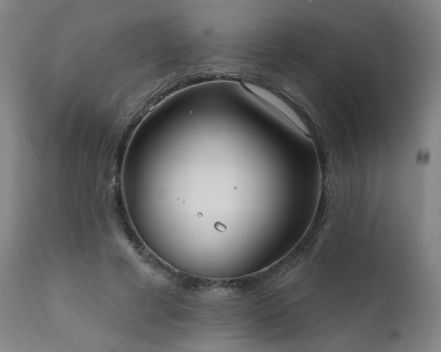X0000111460593200907131457