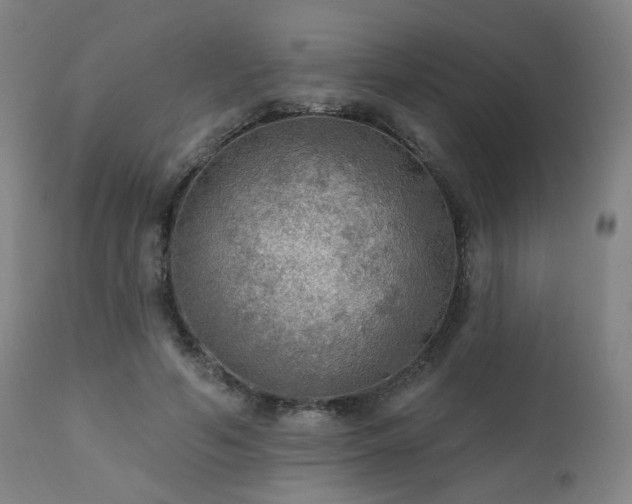 X0000111460594200907131457