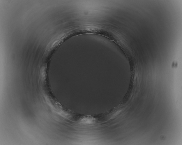 X0000111460595200907131457