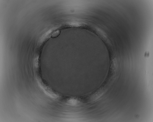 X0000111460596200907131457