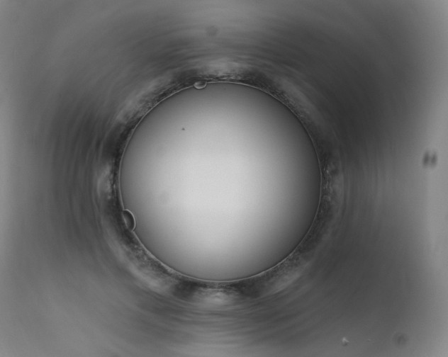 X0000111460597200907131457