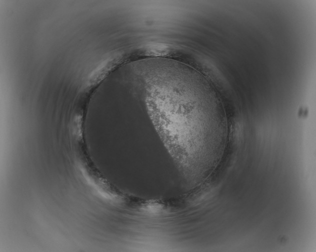 X0000111460598200907131457