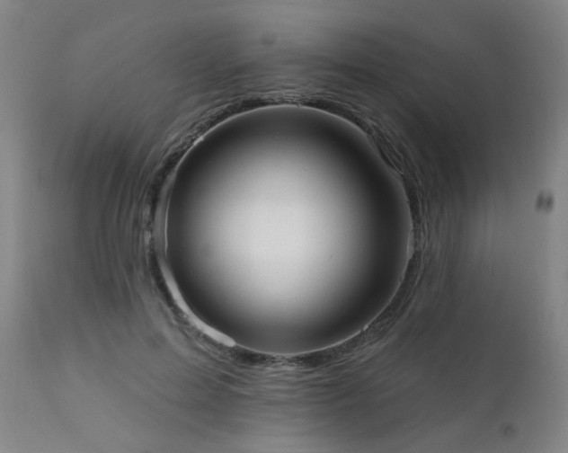 X0000111460599200907131457