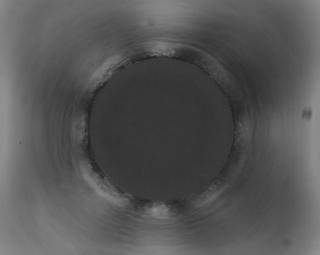 X0000111460600200907131457