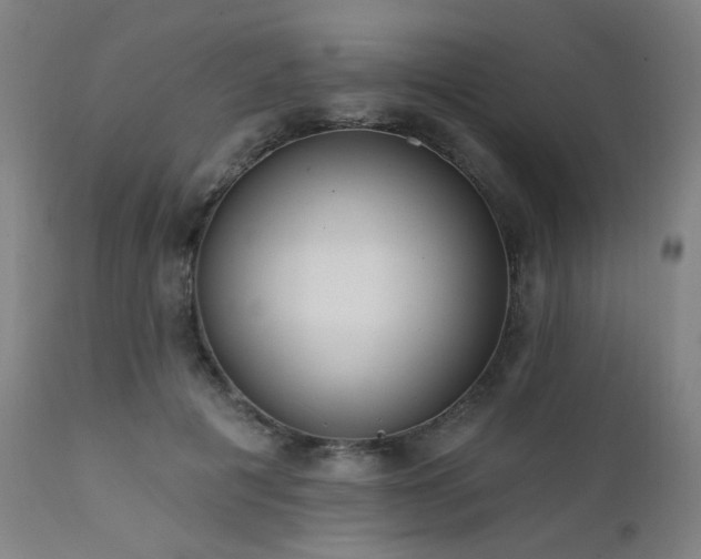 X0000111460601200907131457