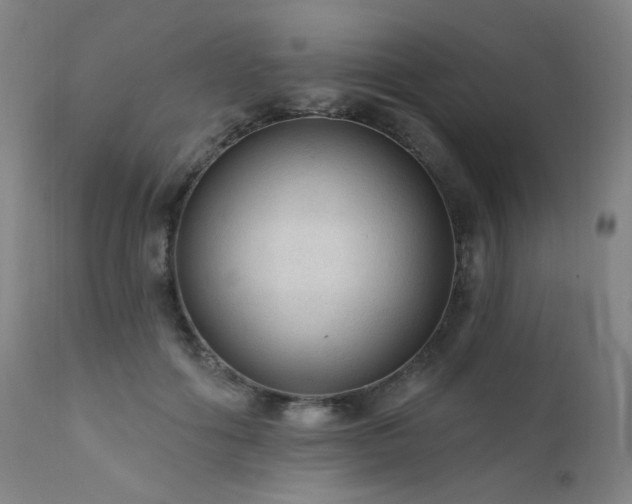 X0000111460602200907131457