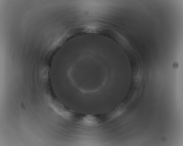 X0000111460603200907131457