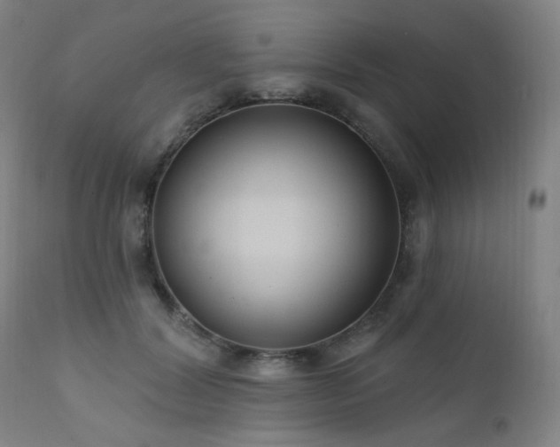 X0000111460604200907131457