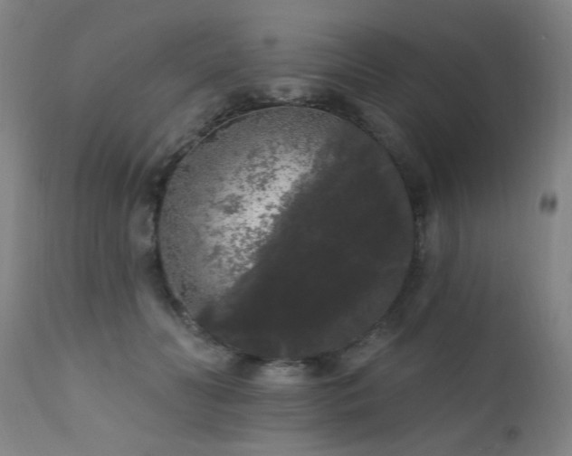 X0000111460606200907131457