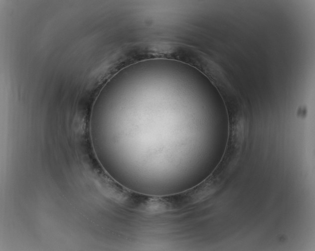 X0000111460608200907131457