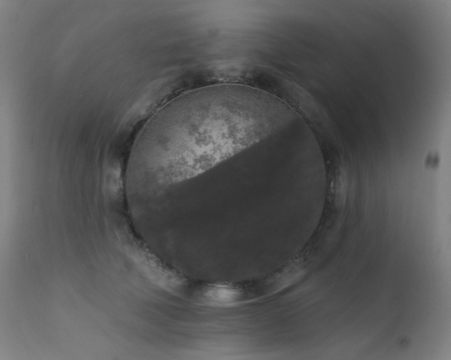 X0000111460610200907131457