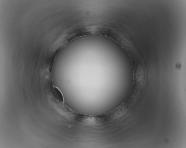 X0000111460611200907131457