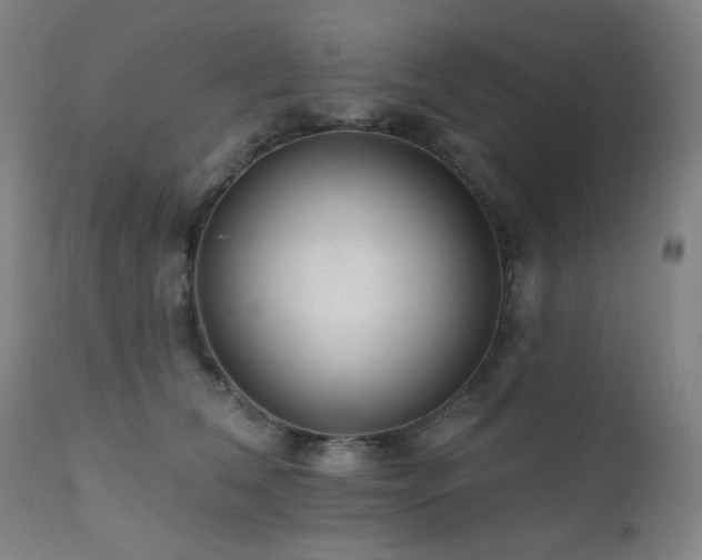 X0000111460612200907131457