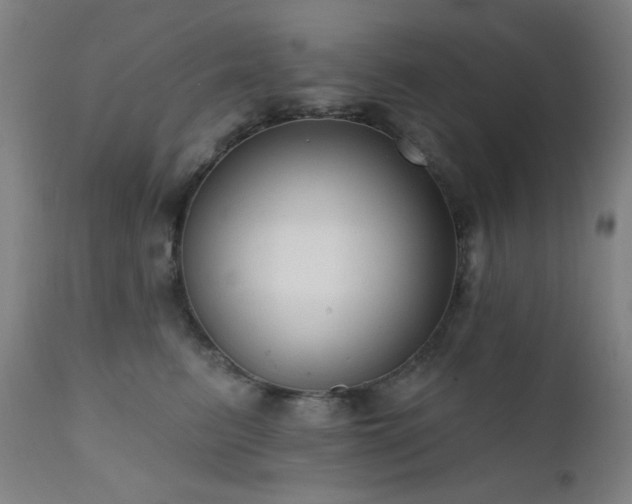 X0000111460615200907131457