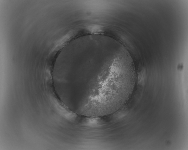X0000111460618200907131457