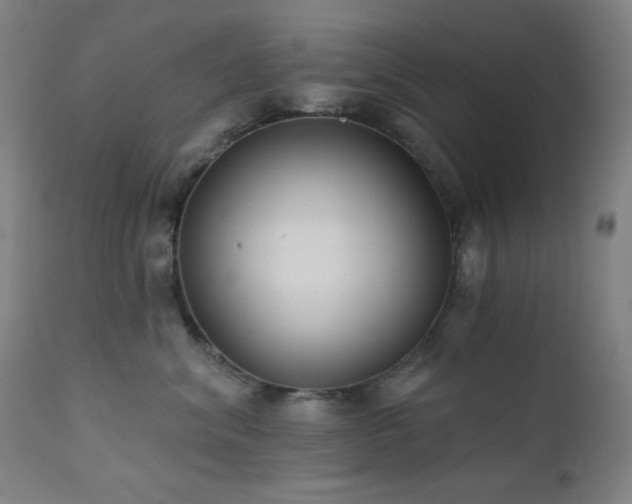 X0000111460620200907131457