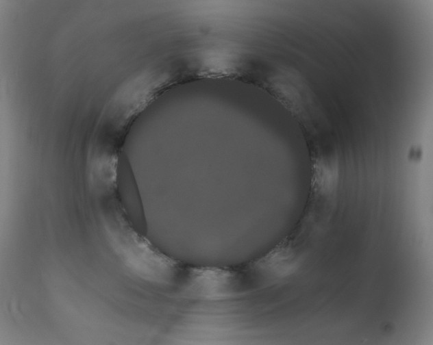 X0000111460621200907131457