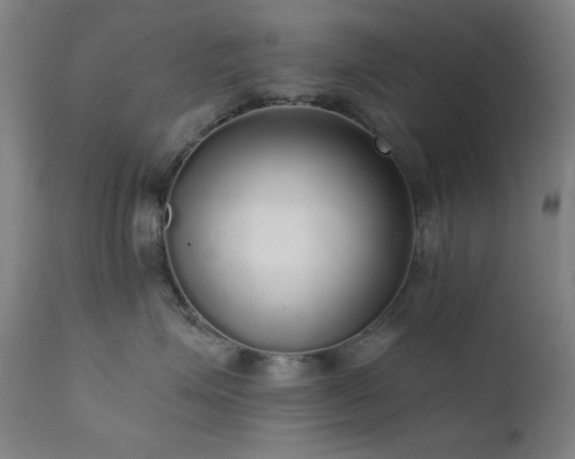 X0000111460623200907131457