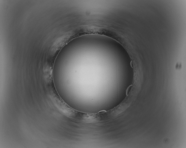 X0000111460624200907131457