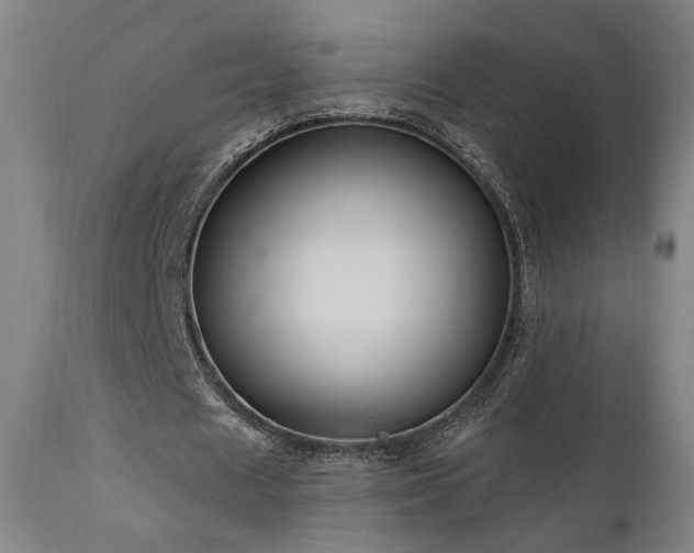 X0000111460625200907131456