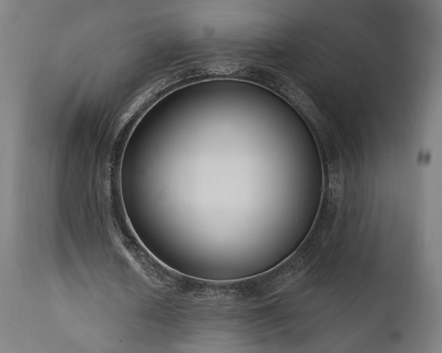 X0000111460626200907131456