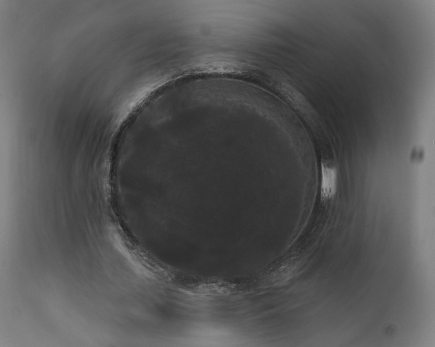 X0000111460627200907131456
