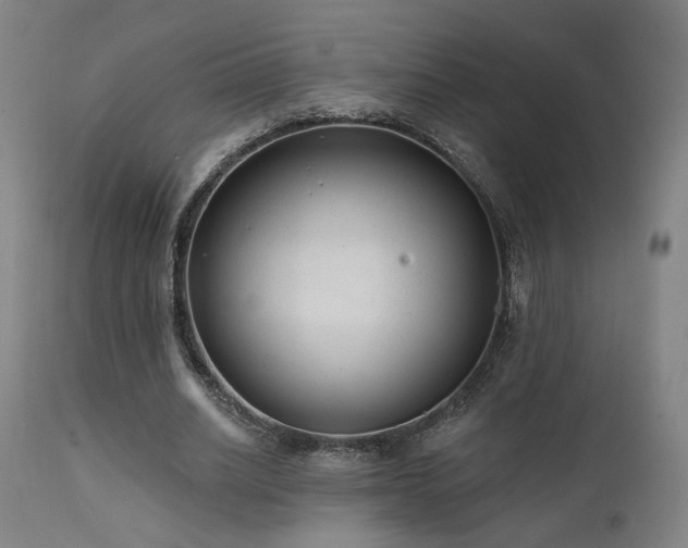 X0000111460630200907131456