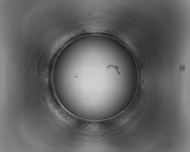 X0000111460631200907131456