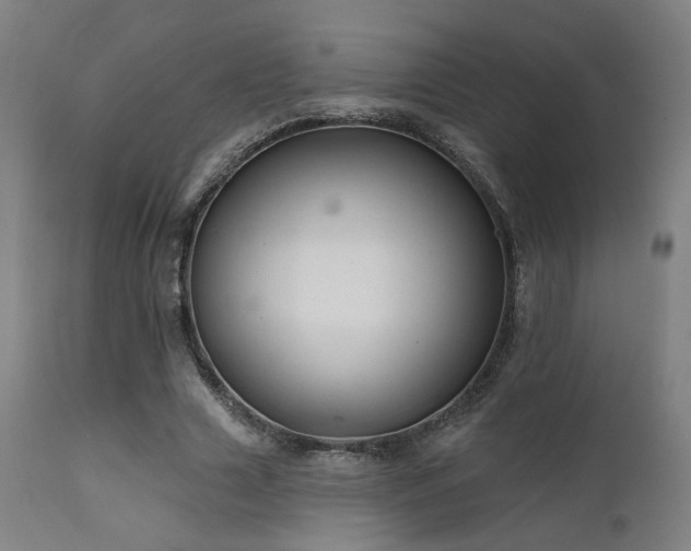 X0000111460633200907131456