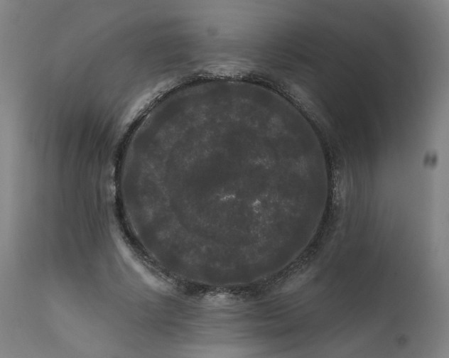 X0000111460634200907131456