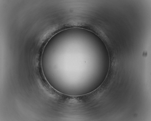 X0000111460635200907131456