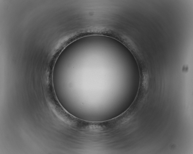 X0000111460636200907131456