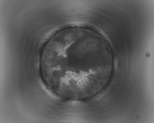 X0000111460637200907131456