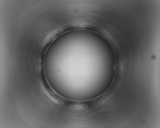 X0000111460638200907131456