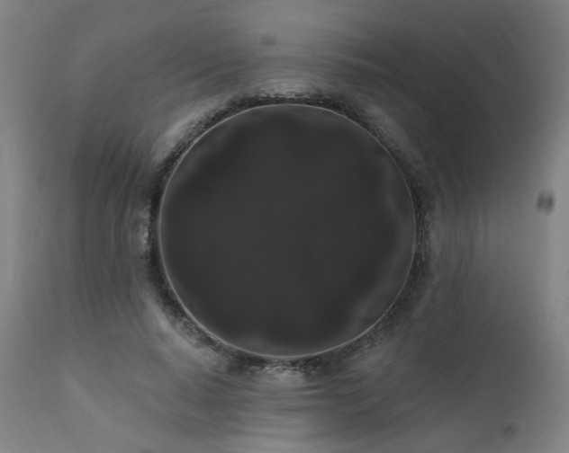 X0000111460640200907131456