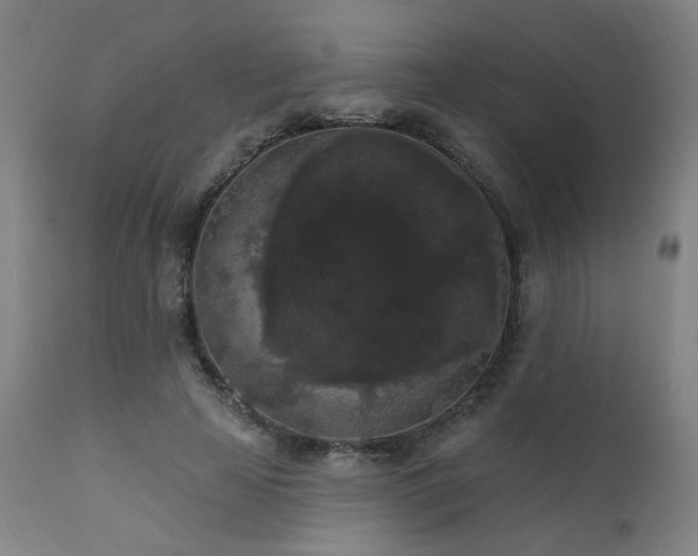 X0000111460641200907131456
