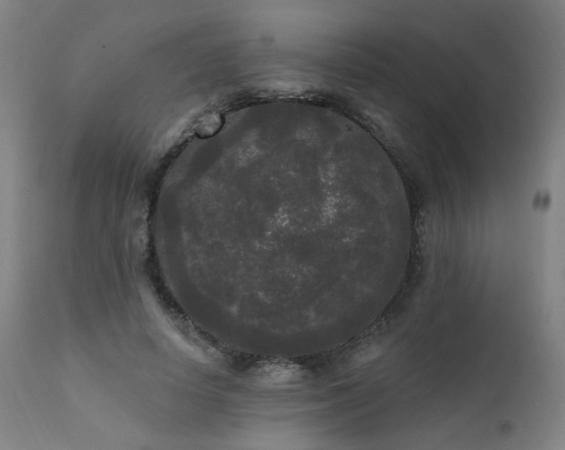 X0000111460642200907131456